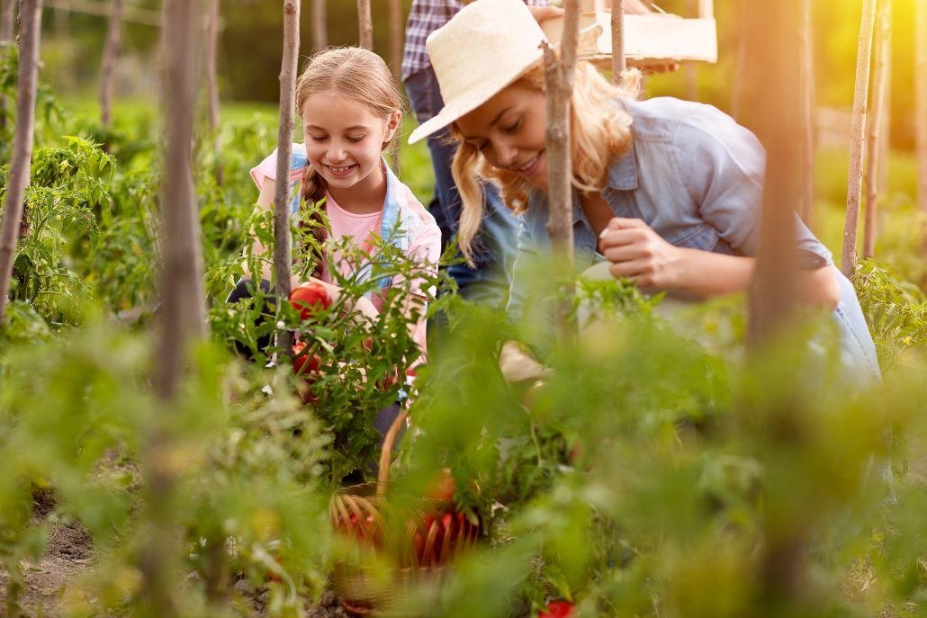 6 Enchanting Ways to Celebrate Beltane with Your Kids and Connect with Nature