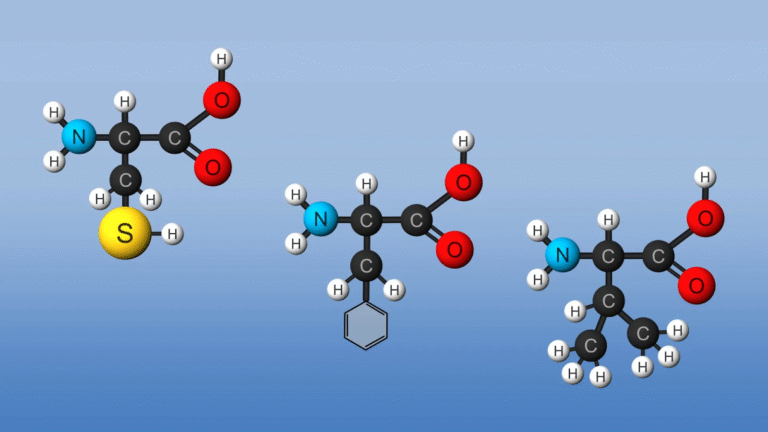 doctorhub360.com Amino Acids: The Building Blocks of Better Health