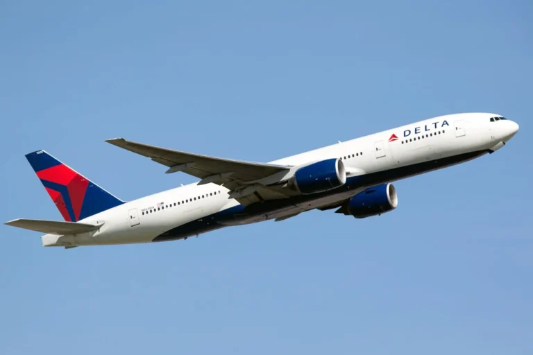 Delta Flight DL275 Diverted LAX: A Case Study in Aviation Safety and Passenger Care