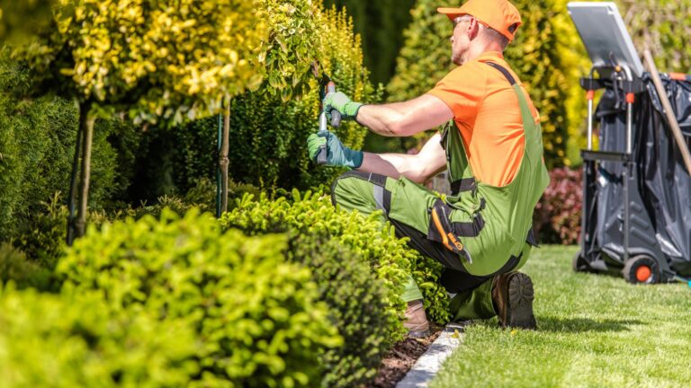 6 Benefits of Hiring Expert Lawn Care Services
