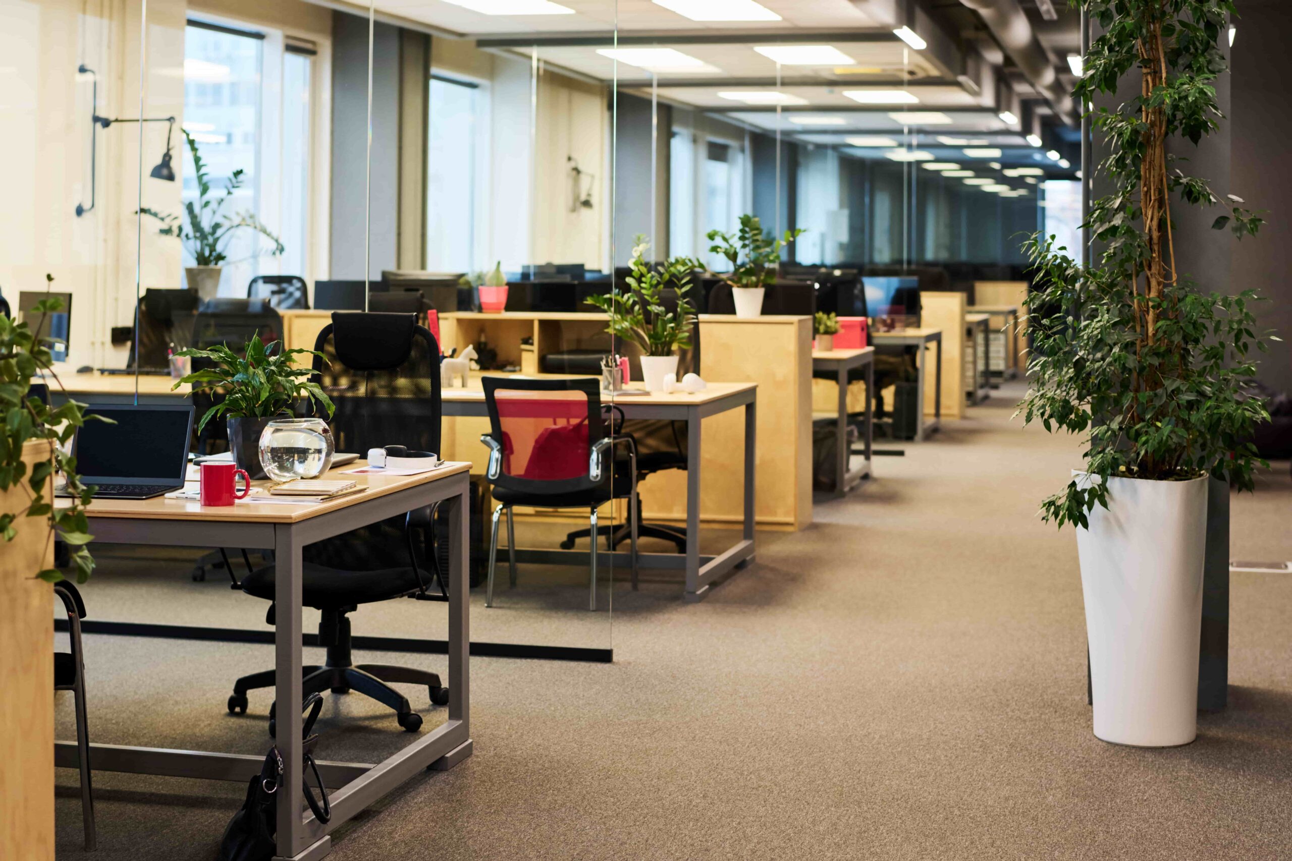 The Complete Guide to Renting an Office Space in Noida for Your Business