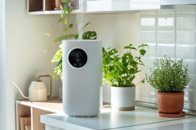What Is Indoor Air Quality and Why Does It Matter for Your Health