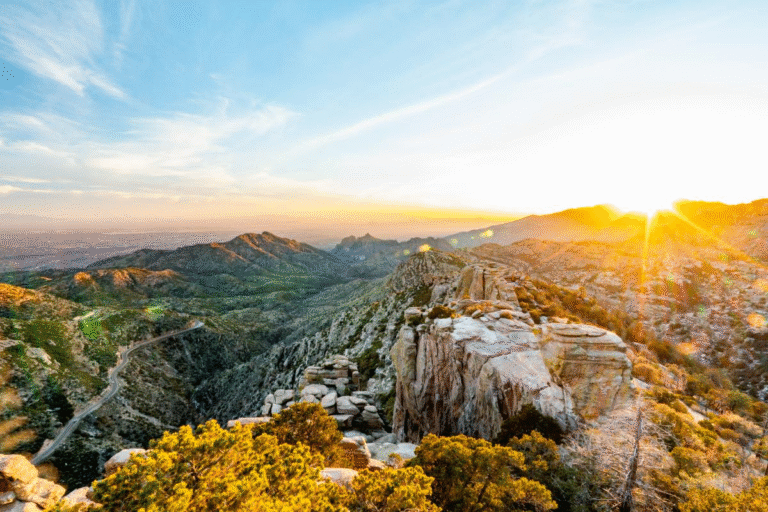 Mt. Lemmon Tucson AZ Weather & Live Cameras The Ultimate Visitor Guide