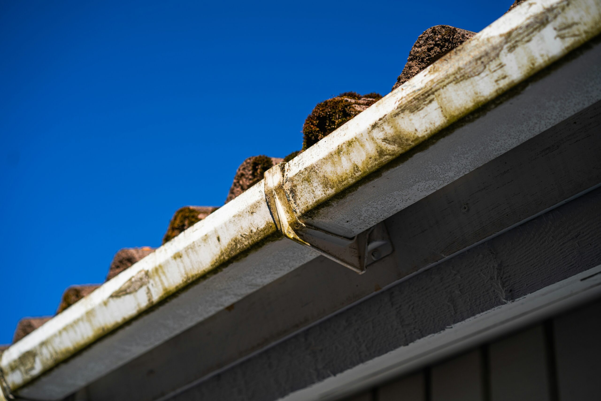 Gutter Systems A Detailed Guide to Protecting Buildings From Water Damage