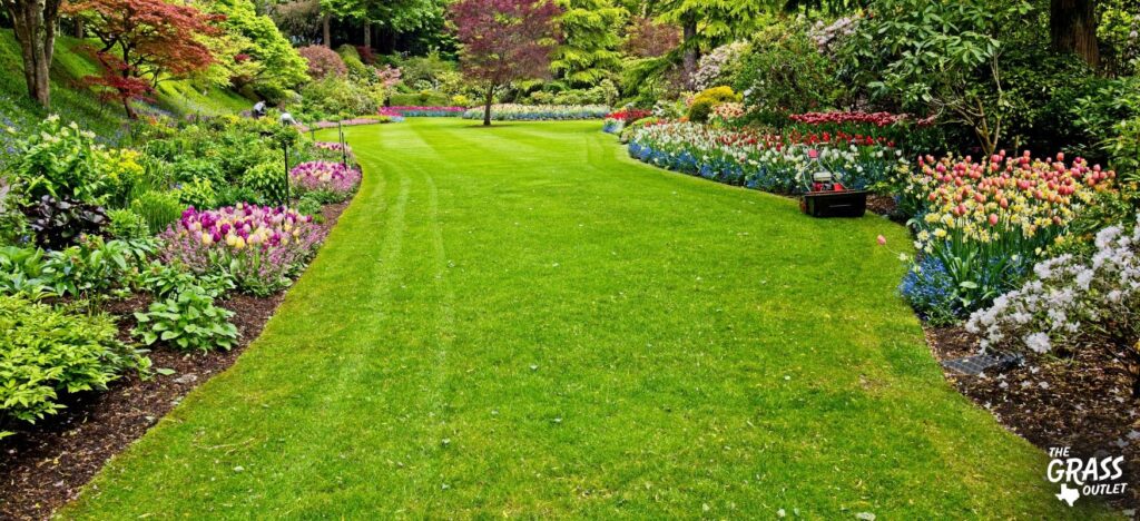 The Hidden Costs of Neglecting Your Lawn—and How to Avoid Them