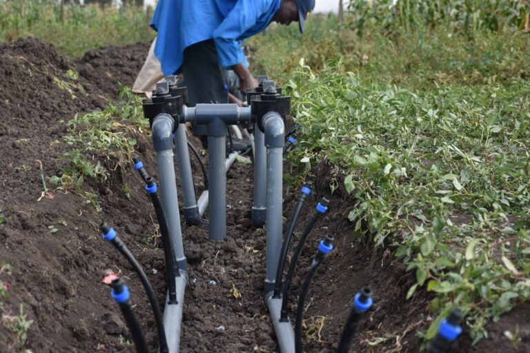 Irrigation System Installation