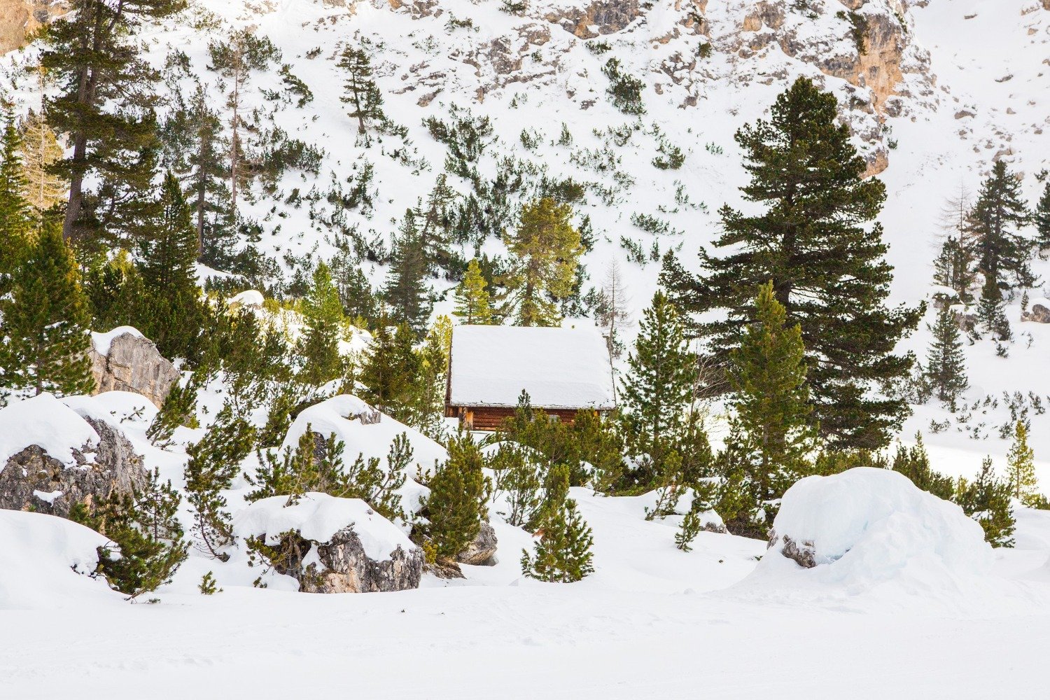 Flat Rate Snow